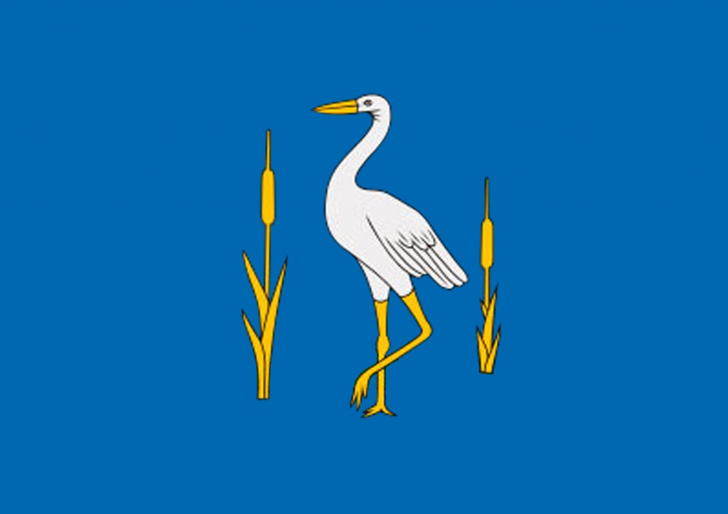 Флаг Романовского района